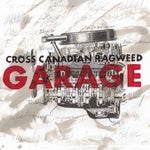 Cross Canadian Ragweed Dimebag