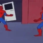 spiderr