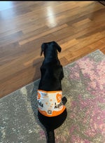 couple days in the summer