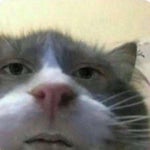 Smoke Alarm w/ silence (PLAY ON LOOP)