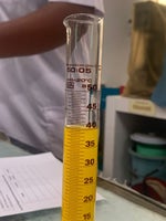 Avicii Lonely Together ft