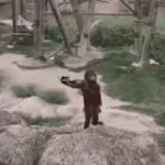 ARC Raiders Fireball