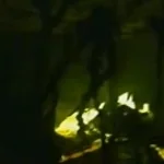 found footage 2 chase louder