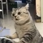 tu tá cherando o cu marcelo