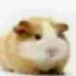 Perrito ladrando💕