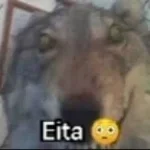 Apareça seu medíocre (copy)