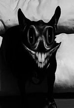 this time she really aint fuq