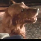 roll that beatiful bean footage