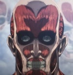 You will never be japanese