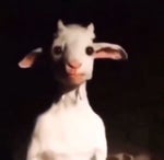 Alex Terrible Guttural Demonstration