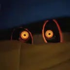 SotM - ALL Shroom Voice Lines!