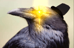 Grumble roar but higher