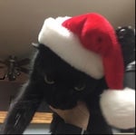 Just then the king felt true fear for the first time