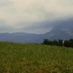 blind på högra ögat loud