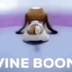 Vine boom