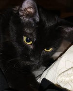 Slip and Fall Sound Effect - Sound