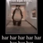 she/ har har har har har