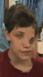 Roar of the jungle dragon (read description)