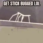 Dancing Stick Bug