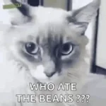 gween bean watchu meaan (kid toucher