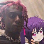 Florin Salam Arabia (aia veche) [Familia Spider]