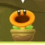 fleur nintendo