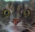 1161195877256400966 - Sound