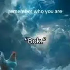 REMEMBER WHO U ARE CHICKEN