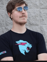 Mr Beast effect phonk