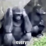 Recording 11/28/25 21:51:08