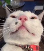 quiero una estufa una tele una lavadora una bocina una switch y