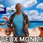 Francky Vincent - Tu veux mon zizi (Clip Officiel)