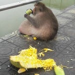 Ronaldo Bike Skibidi Dynamike