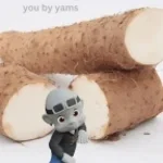 Potatoes 03