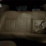 Pool House by the backseat lovers