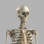 Noli Custom Sound Effect - Kill