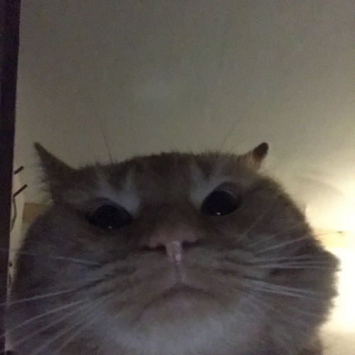 Talking Ben Saying Yes (Free to use) by Jiber Sound Effect Tuna