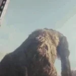 coma godzilla
