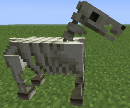 Skeleton Horse - Step 1