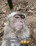 Maddyn (The Real Timothy) original sound maddz - Sound