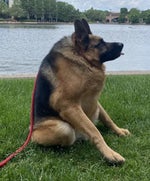 Deixa eu te falar vc come eu e uma amiga minha (2)