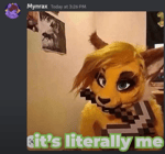 why are you guys so mean to me