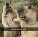 Aqua Barbie Girl (Official Music Video) [TubeRipper