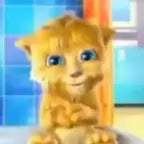 Toma banho nesse frio put# que pari#