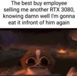 turtle song persian language