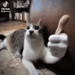 Fergalicous X Liquorice TIKTOK Remix