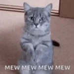 mew