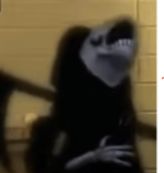 vo caga