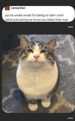 Olive Branch Sepitonic (instrumental) lackadaisy - Sound