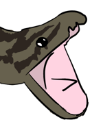 favorite australian phrase